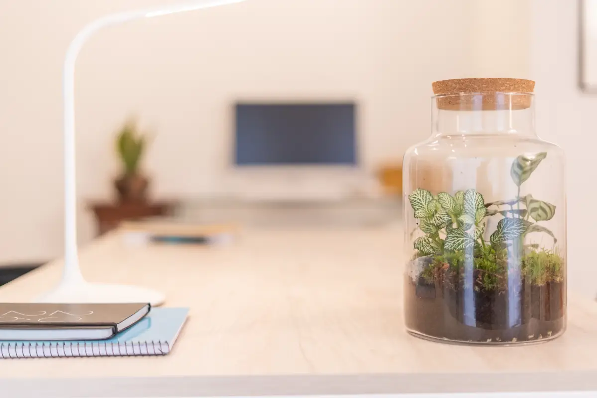 Pequeño terrario en un tarro de cristal