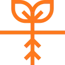 Icono de una planta creciendo que representa el origen